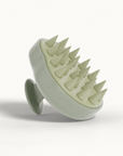 Biodegradable massaging brush